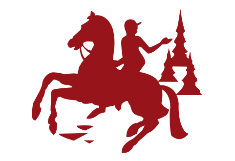 STAELL LOGO NEW ROUGE